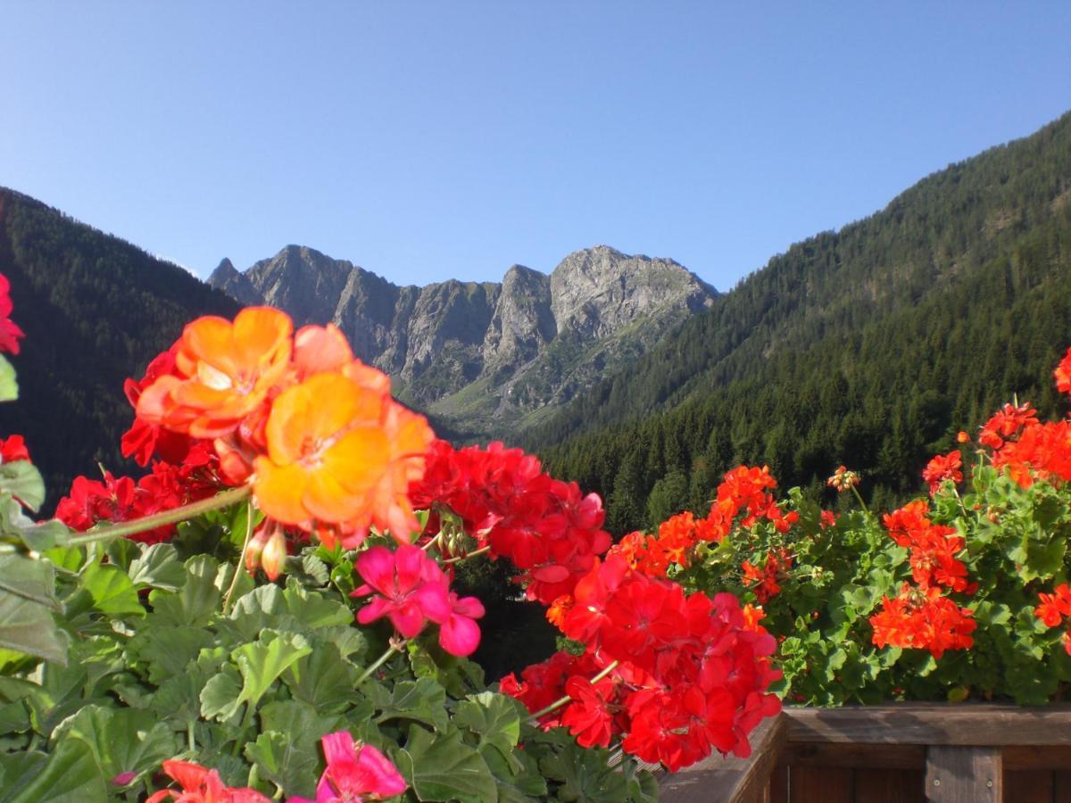 Apartmán Haus Strieder - Obergail Liesing Exteriér fotografie